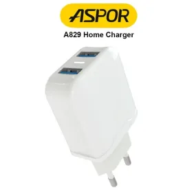 Aspor A829 2.4A Charger