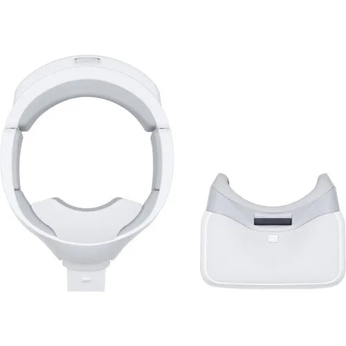 DJI Goggles