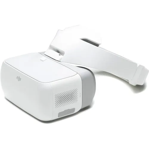 DJI Goggles