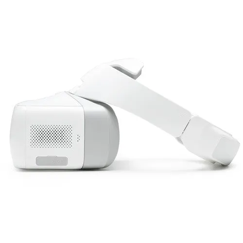 DJI Goggles