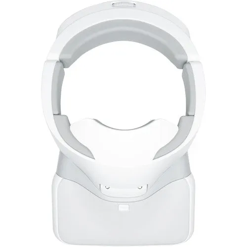 DJI Goggles