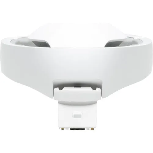 DJI Goggles