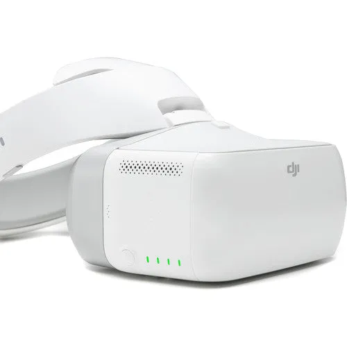 DJI Goggles