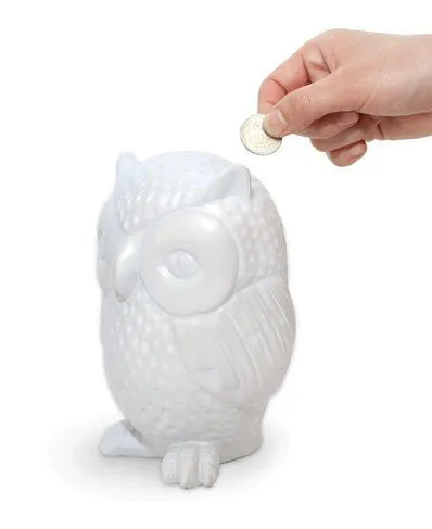 Kikkerland Owl Coin Bank