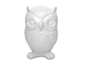 Kikkerland Owl Coin Bank