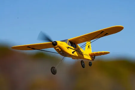 Micro Sport Cub 400 3-Channel RTF Airplane with PASS System | RGRA1118 | Rage RC