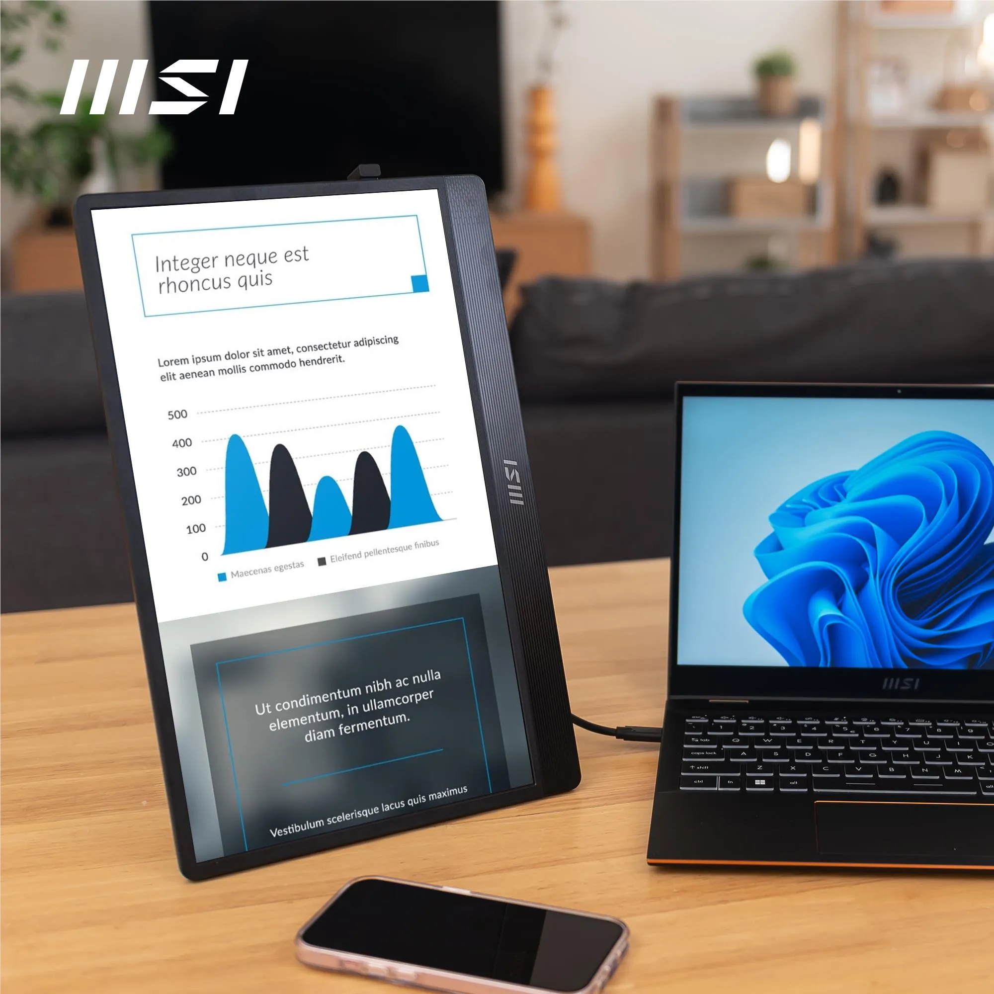 MSI PRO MP161 E2 15.6" FHD IPS USB-C Portable Monitor