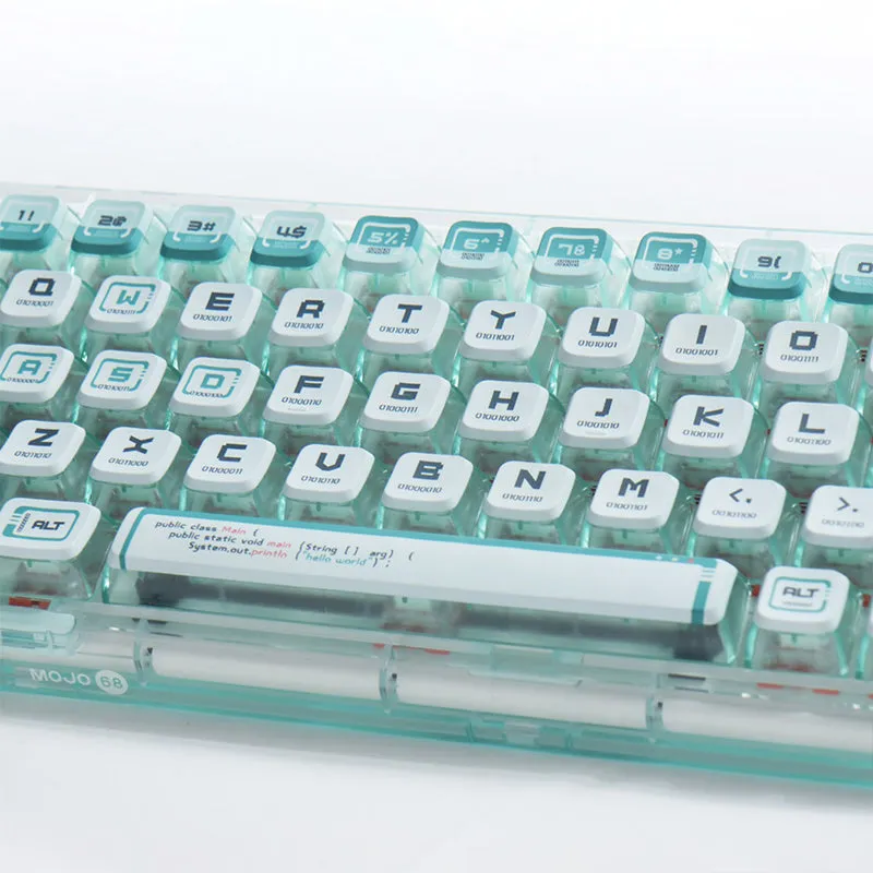 PIIFOX Binary ASA Profile PBT Keycap Set 117 Keys