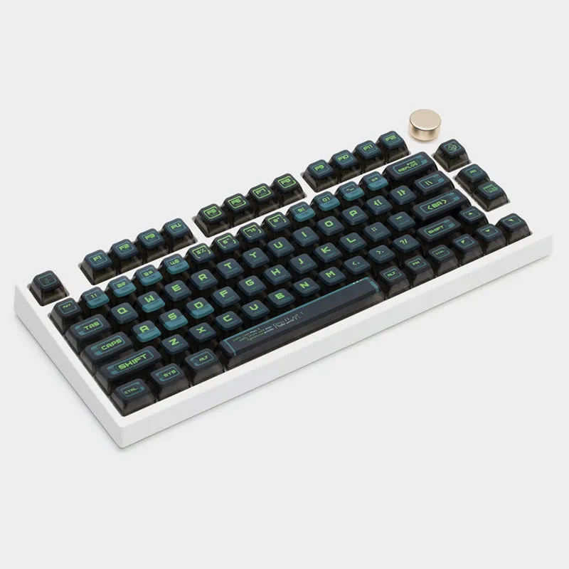 PIIFOX Binary ASA Profile PBT Keycap Set 117 Keys