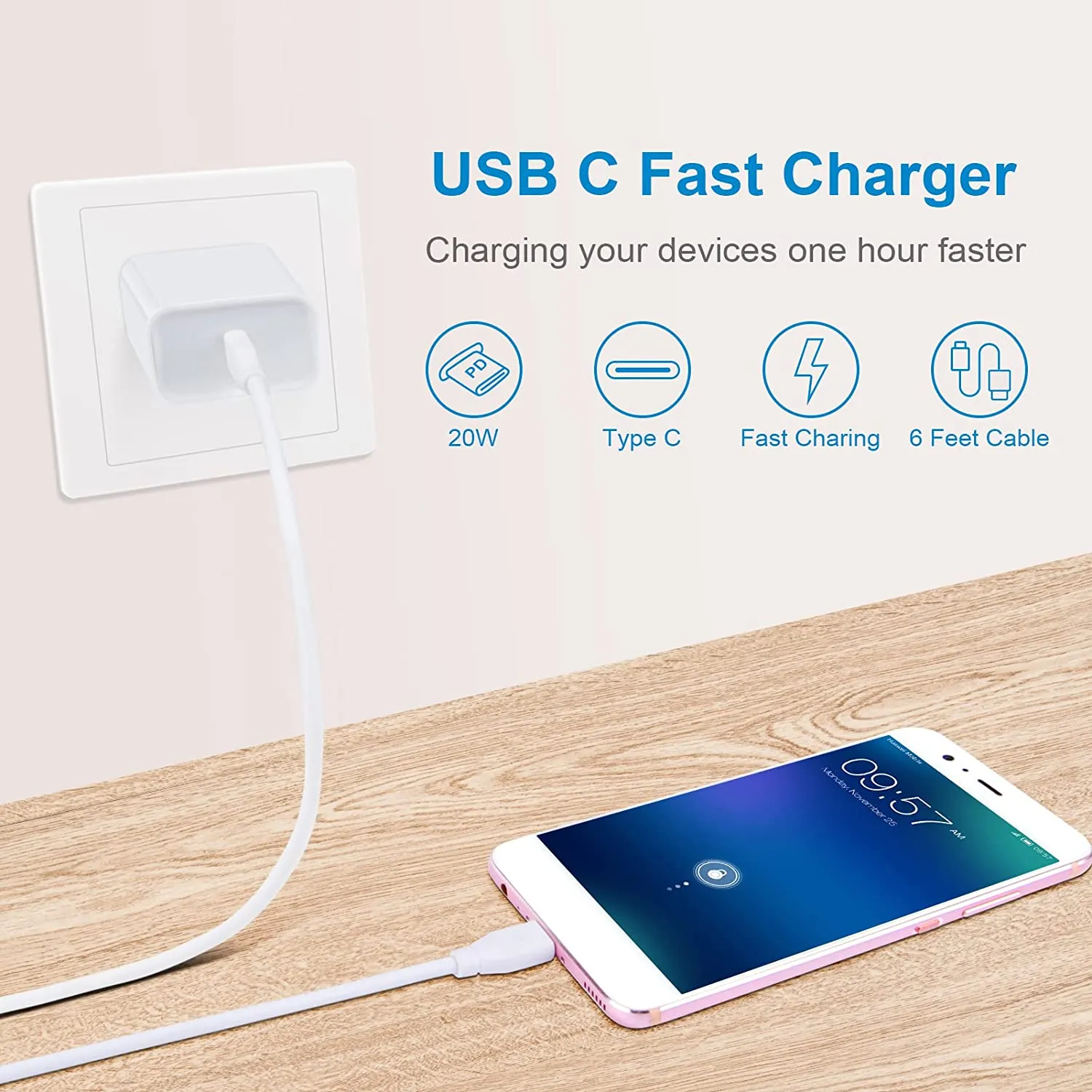 USB C Fast Charger for Google Pixel Pad Pro Samsung Galaxy 6FT Type C to C Cable