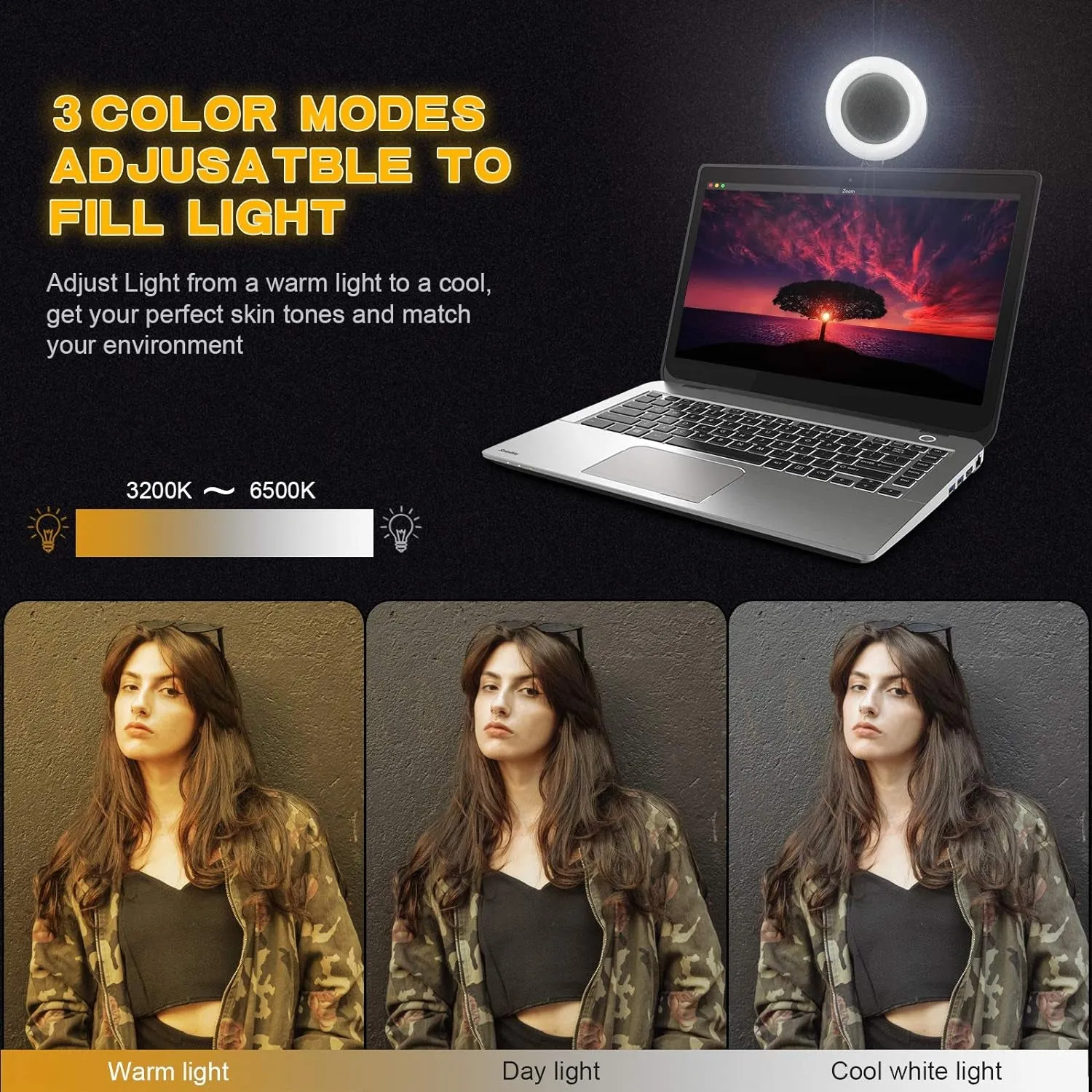 Video Conference Lighting Kit,Computer/Laptop Moniter LED Video Light Dimmable 6500K Ring Light for Remote Working,Zoom Call,Self Broadcasting,Live Streaming